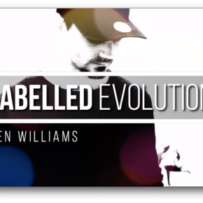 Labelled Evolution by Ben Williams